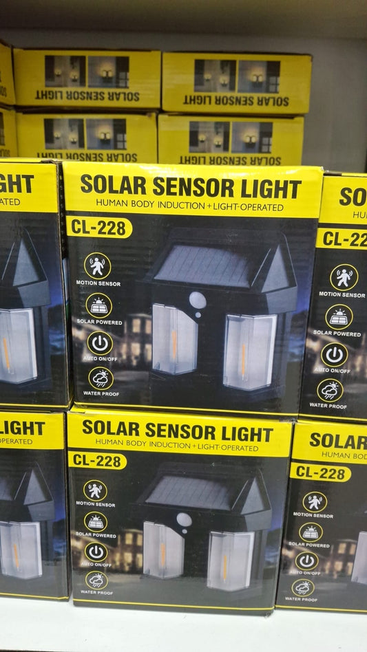Solar Wall Light with Motion Sensor